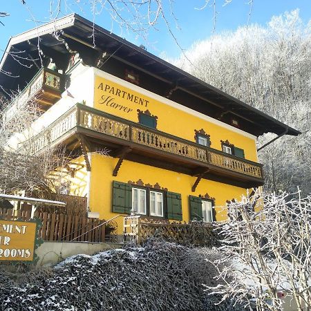 Appartement Harrer Zell am See Bagian luar foto