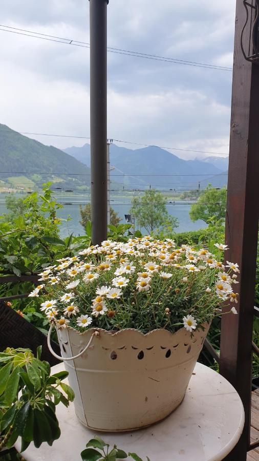 Appartement Harrer Zell am See Bagian luar foto